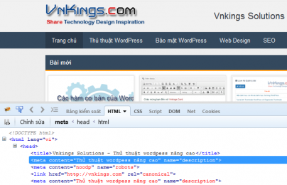 Thêm thẻ Meta Description cho WordPress không cần Plugin